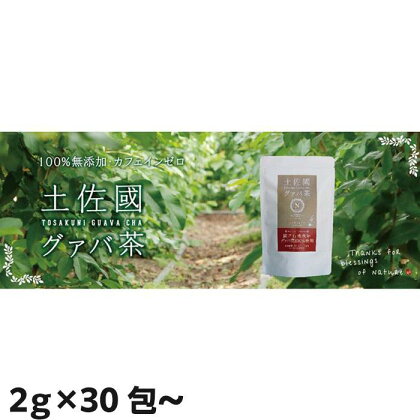 国産有機栽培グァバ葉100％使用 土佐國グァバ茶 | お茶 飲料 健康茶 国産 漢方 送料無料 送料無料 人気 おすすめ 高知県 南国市