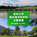 【ふるさと納税】 返礼品なし 30,000円 高知大学 農林海洋科学部 支援事業(教育・研究・地域貢献を支える寄附) | 実習・フィールドワーク支援 研究支援 地域貢献活動支援 人材育成 高知県 南国市