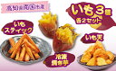 【ふるさと納税】 高知名物 いも天 いもスティック 冷凍焼き芋 各2セット 健康 美容 整腸 いも 芋 おやつ お菓子 食物繊維 サツマイモ 天ぷら 紅はるか おいも お芋 冷凍 高知県 南国市
