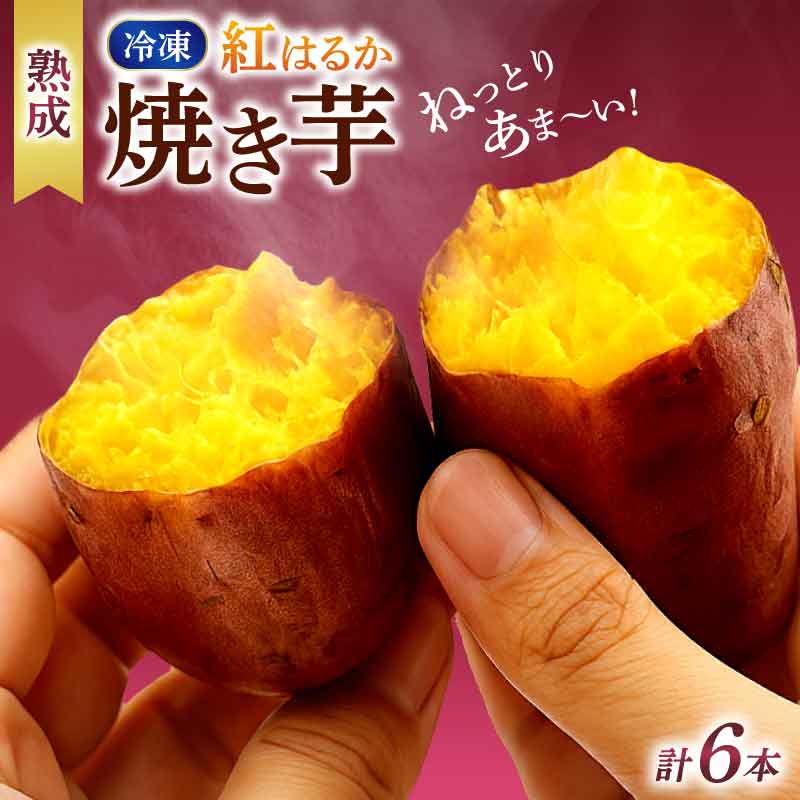 【ふるさと納税】 冷凍焼き芋 200g×3パック 健康 美容 整腸 いも 芋 おやつ お菓子 食物繊 ...