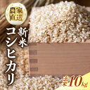 【ふるさと納税】 【新米 玄米 10キロ】 【数量限定】 令和7年度 コシヒカリ 10キロ 8月20日より発送 玄米 超早場米 米 コメ お米 精米 早場米 新米 ご飯 おにぎり こめ 白米 高知県 南国市