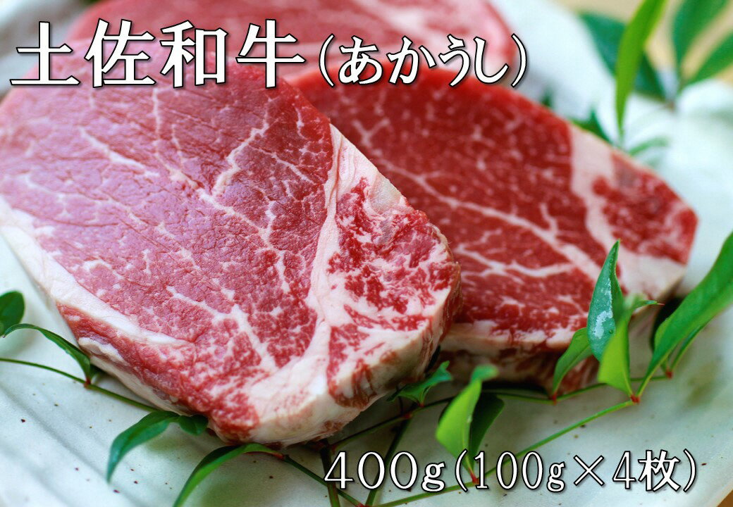 【ふるさと納税】土佐和牛特選ヒレ肉400g 特製ソース2種付【ステーキ用】 国産 和牛 土佐あかうし お肉..