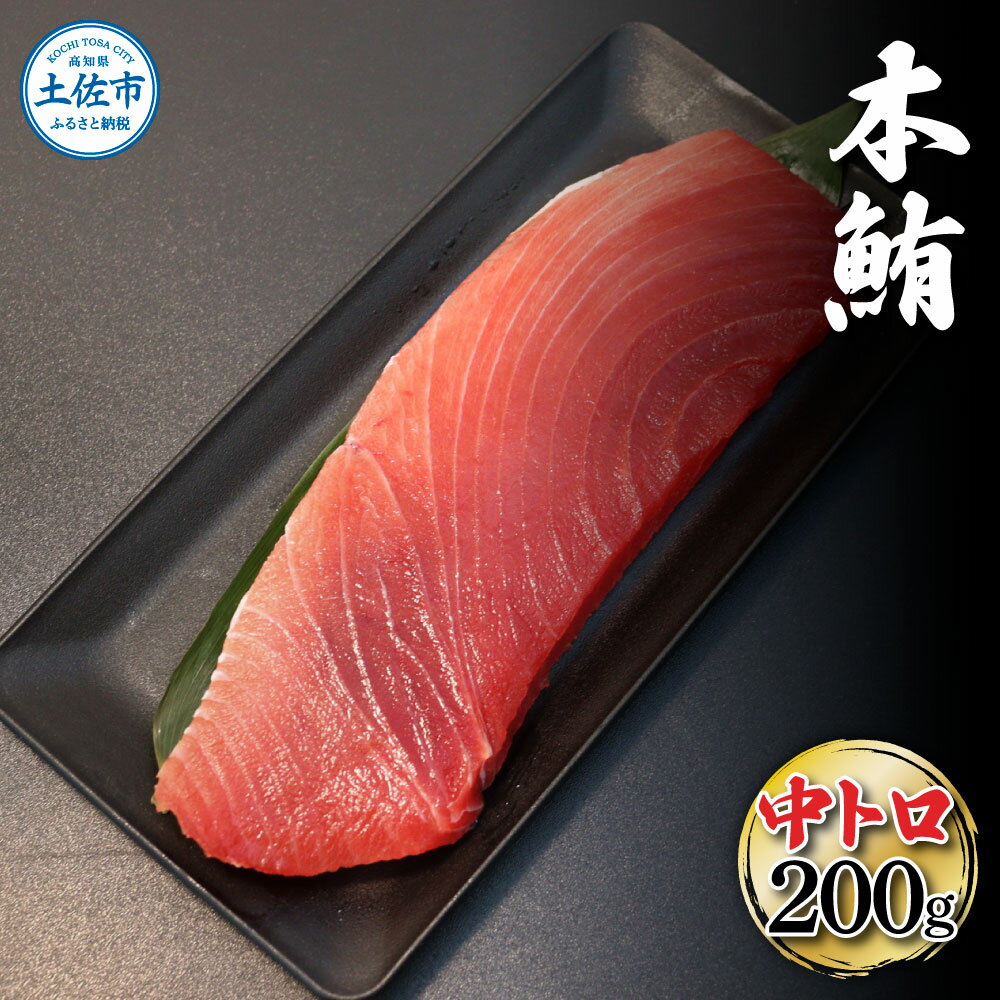 本鮪 中トロ200g トロ マグロ 本まぐろ まぐろ 刺身 ふるさと納税 まぐろさく 刺身 刺し身 魚 海鮮 冷凍 冷凍配送 美味しい おいしい 故郷納税 ふるさとのうぜい 返礼品 高知県 高知 13000円