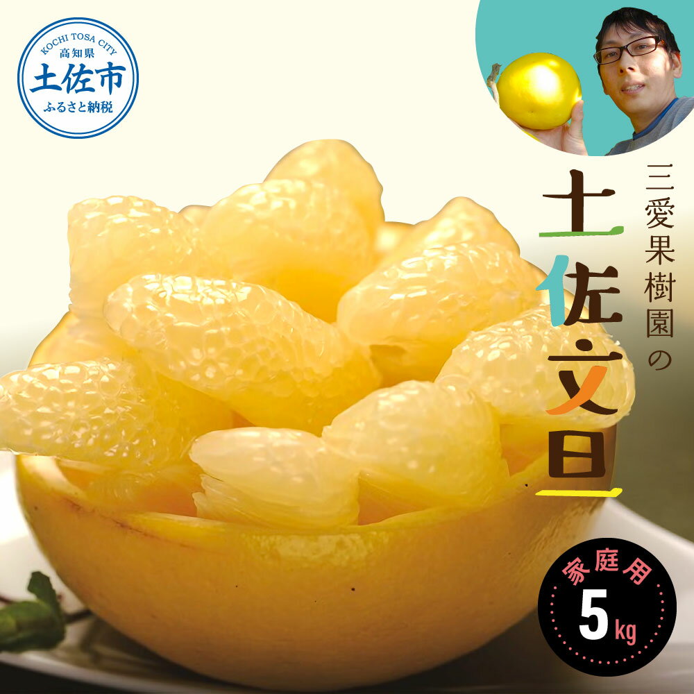 [先行予約]文旦 三愛果樹園の土佐文旦 家庭用約5kg 2月〜3月発送 みかん 柑橘 ぶんたん ブンタン 果物 フルーツ お取り寄せ おいしい 美味しい 故郷納税 ふるさとのうぜい 返礼品 高知県 高知 13000円