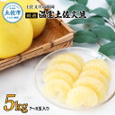 【ふるさと納税】<土佐文旦の藤岡>厳選 温室土佐文旦 5kg (7~8玉)文旦 ぶんたん ブンタン 土佐文旦 ハウス栽培 甘い 柑橘 フルーツ 果物 ご当地 産地直送 お取り寄せ 5キロ 土佐 高知 ふるさとのうぜい 故郷納税 高知県 25000円 土佐市