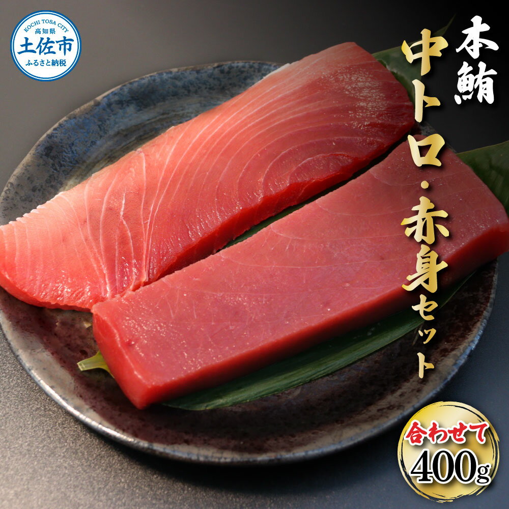 本鮪 中トロ・赤身 各200g 合せて400g 赤身中トロセット 赤身 トロ マグロ まぐろ 刺身 ふるさと納税 まぐろさく 刺身 刺し身 マグロ 赤身 魚 海鮮 冷凍 冷凍配送 美味しい おいしい 食べ比べ セット 故郷納税 ふるさとのうぜい 返礼品 高知県 高知 20000円