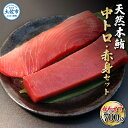 【ふるさと納税】本鮪 中トロ500g・赤身200g 合せて700g 赤身と中トロのセット 赤身 トロ マグロ まぐろ 本まぐろ 刺身 刺し身 魚 海鮮 冷凍 美味しい おいしい 故郷納税 ふるさとのうぜい 返礼品 高知県 高知 35000円･･･