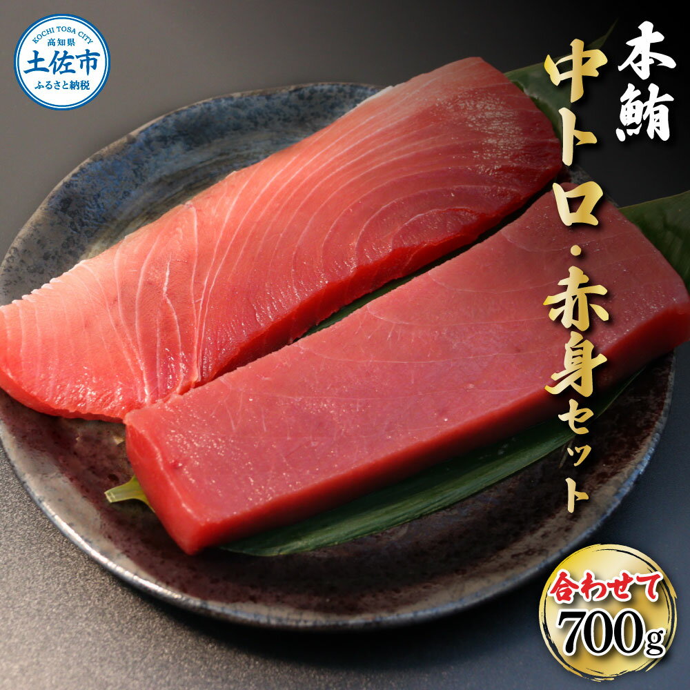 【ふるさと納税】本鮪 中トロ500g・赤身200g 合せて7