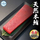 【ふるさと納税】天然本鮪 赤身 600g マグロ まぐろ 本まぐろ 刺身 刺し身 魚 海鮮 天然 冷凍 美味しい おいしい 故郷納税 ふるさとのうぜい 返礼品 高知県 高知 22000円