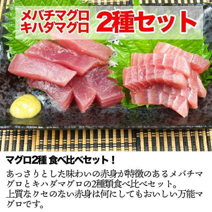 【ふるさと納税】訳あり 天然マグロ2種類 食べ比べ 詰め合わせ1.2kgセット ブロック 小分け 訳アリ 海鮮 魚 冷凍 鮪（まぐろ） 規格外 故郷納税 ふるさとのうぜい 返礼品 高知県 高知 15000円 詰合せ お刺身に