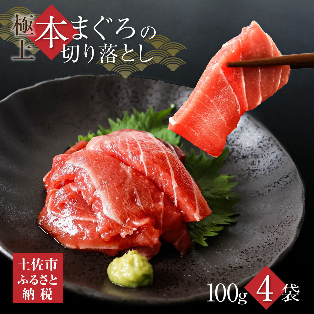 【ふるさと納税】訳あり 本鮪端材切り落し400g（100g×