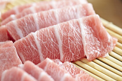 本鮪 大トロ500g、ネギトロ400g（200g×2P） ねぎとろ マグロ まぐろ 本まぐろ 刺身 刺し身 魚 海鮮 冷凍 美味しい おいしい 故郷納税 ふるさとのうぜい 返礼品 高知県 高知 41000円