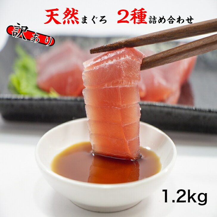 【ふるさと納税】訳あり 天然マグロ2種類 食べ比べ 詰め合わせ1.2kgセット ブロック 小分け 訳アリ 海鮮 魚 冷凍 鮪（まぐろ） 規格外 故郷納税 ふるさとのうぜい 返礼品 高知県 高知 15000円 詰合せ お刺身に
ITEMPRICE