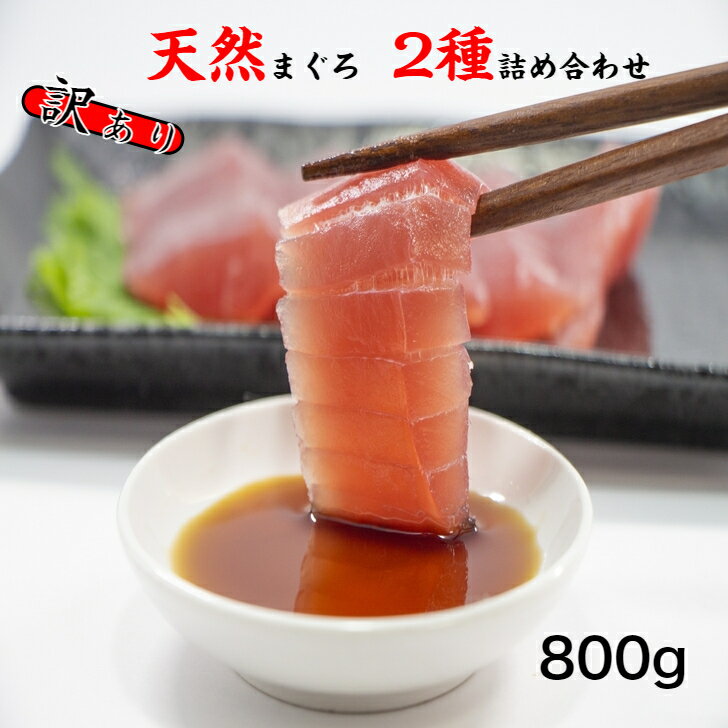 【ふるさと納税】訳あり 天然マグロ2種類 食べ比べ セット 詰め合わせ 合計800g ブロック 小分け 訳アリ 海鮮 冷凍 鮪（まぐろ） 規格外 故郷納税 ふるさとのうぜい 返礼品 高知県 高知 12000円 詰合せ お刺身に