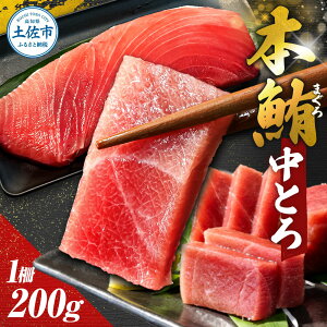 【ふるさと納税】マグロ 中トロ 200g 10000円台 まぐろ 刺身 本鮪 本まぐろ maguro トロ とろ 中とろ 柵 ブロック 刺し身 魚 海鮮 海鮮丼 海産物 海の幸 寿司 贅沢 人気 冷凍 配送 美味しい おいしい お祝い 贈答 高知県 高知 土佐市 ふるさとのうぜい 返礼品 13000円
