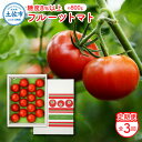 【ふるさと納税】<定期便・全3回> フルーツトマト (約800g)一箱12玉~20玉 先行予約 トマト 定期便 3ヶ月 糖度 とまと ふるーつとまと tomato 糖度8度以上 美味しい 甘い 野菜 夏野菜 サラダ 健康 ギフト 高知県産 故郷納税 ふるさとのうぜい 返礼品 高知県 高知 29000円