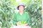 【ふるさと納税】高知県産 植田ファームのこだわりピーマン 1kg ピーマン ぴーまん 大量 おうちごはん 料理 おかず 大量消費 美味しい おいしい 故郷納税 ふるさとのうぜい 返礼品 高知県 高知 5000円 5,000円