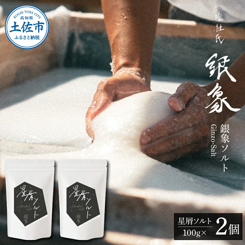 銀象ソルト Ginzo-Salt 星屑ソルト 100g×2個セット 合計200g 塩 しお 調味料 天日塩 完全天日塩 国産 高知県産 ソルト ミネラル 健康 料理 調理 お塩 塩 美味しい スタンダード高知 ふるさとのうぜい 故郷納税 14000円 返礼品