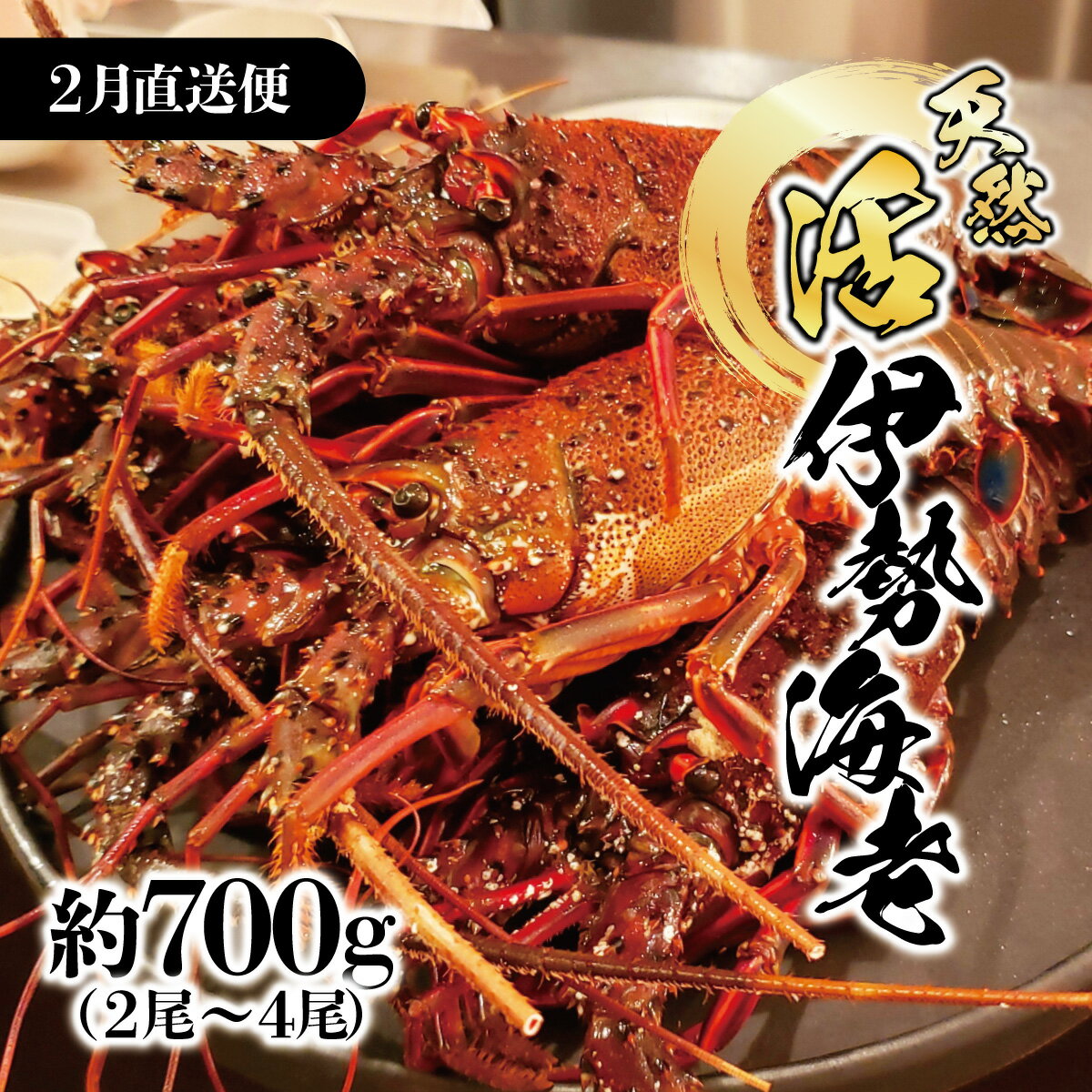 【ふるさと納税】2月直送便 土佐獲れ 活伊勢海老 約700g（2尾～4尾） 天然 エビ　えび 伊勢エビ 海鮮 お刺身 刺し身 丸焼き しゃぶしゃぶ 故郷納税 ふるさとのうぜい 返礼品 高知県 高知 23000円のサムネイル