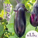 【ふるさと納税】森田さんちの土佐市産お竜なす 約1.5kg 1.5キロ 16~21本 1本約80g 茄子 ナス なすび 野菜 新鮮 焼き茄子 煮浸し 漬物 浅漬け ぬか漬け 味噌汁 おかず 弁当 お取り寄せ 食品 常温 配送 高知県 高知 土佐市 ふるさとのうぜい 故郷納税 返礼品