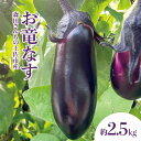 【ふるさと納税】森田さんちの土佐市産お竜なす 約2.5kg 2.5キロ 29~34本 1本約80g 茄子 ナス なすび 野菜 新鮮 焼き茄子 煮浸し 漬物 浅漬け ぬか漬け 味噌汁 おかず 弁当 お取り寄せ 食品 常温 配送 高知県 高知 土佐市 ふるさとのうぜい 故郷納税 返礼品