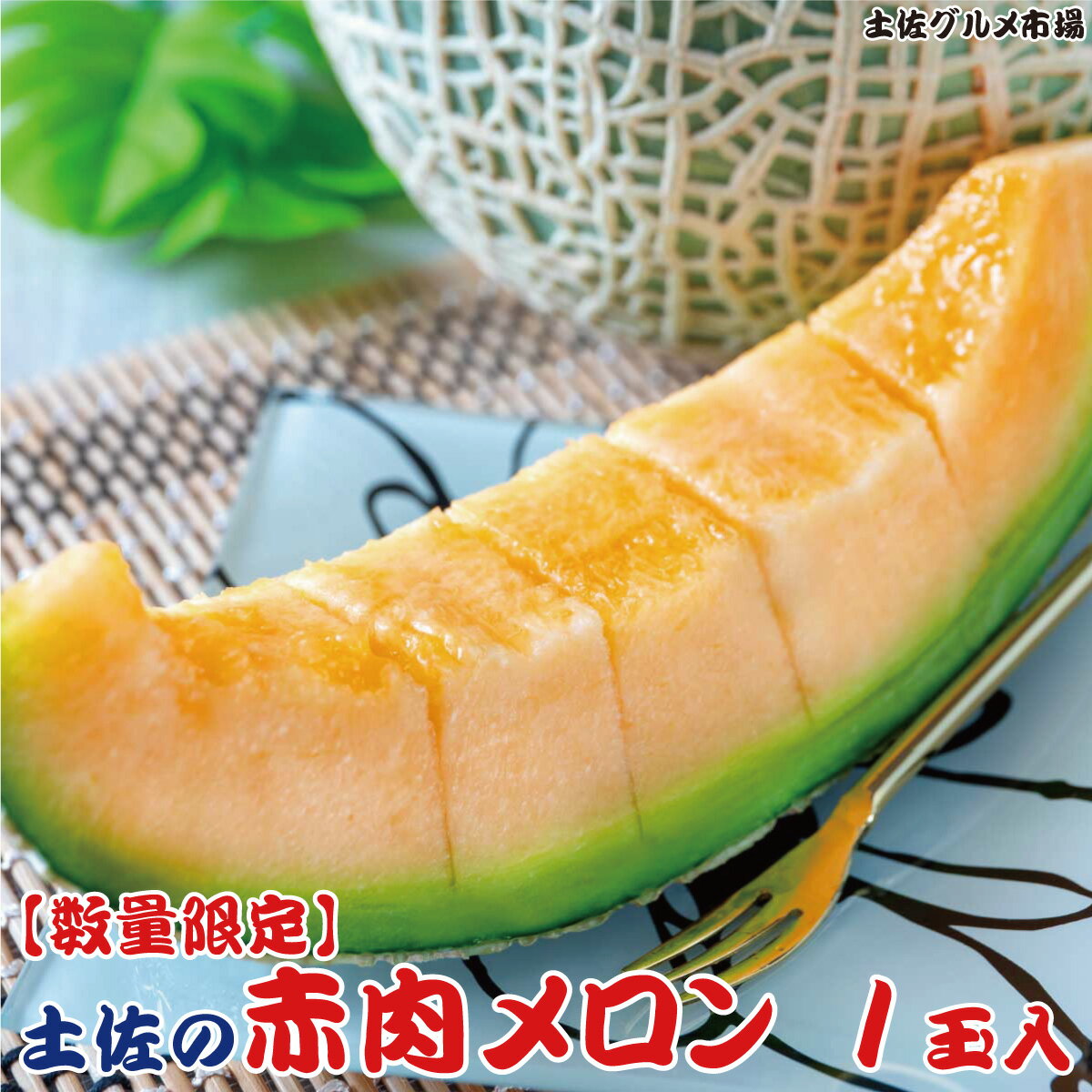 【ふるさと納税】【数量限定】【2023年6月中旬発送】土佐の赤肉メロン1玉入 めろん メロン 赤肉 1玉 国産 お取り寄せ フルーツ 果物 くだもの 高知県 高知 ふるさとのうぜい 故郷納税 5000円 返礼品 美味しい おいしい 土佐市【土佐グルメ市場厳選】のサムネイル
