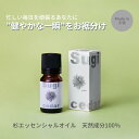 5位! 口コミ数「0件」評価「0」【MICIL（ミシル）】高知県産木材を使った天然成分100％の杉エッセンシャルオイル 8ml　すぎ アロマ 香り リラックス 1本 こだわり･･･ 