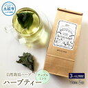 【ふるさと納税】《3ヵ月定期便》ハーブ仁淀川産 自然栽培ハーブ アップルミント ハーブティー ティーバッグタイプ 7袋入り×2個セット ティーバッグ 定期便 3...