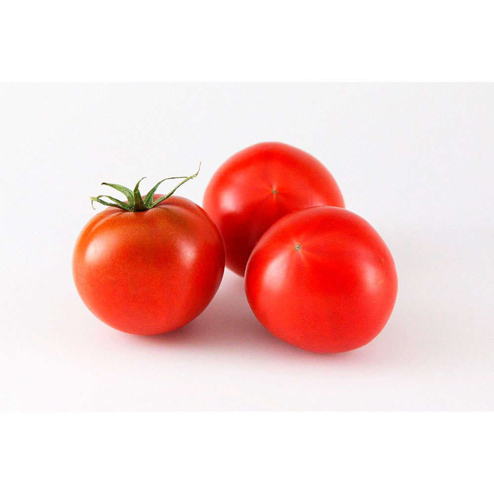 【ふるさと納税】＜2026年1月下旬より発送＞フルーツトマト特選ギフト約1kg トマト フルーツトマト 池トマト 糖度10度以上 高糖度 高知県産 産地直送 ギフト 箱入り 贈答用 贈り物 健康 美味しい ふるーつとまと お取り寄せグルメ 故郷納税 19000円 返礼品 土佐市