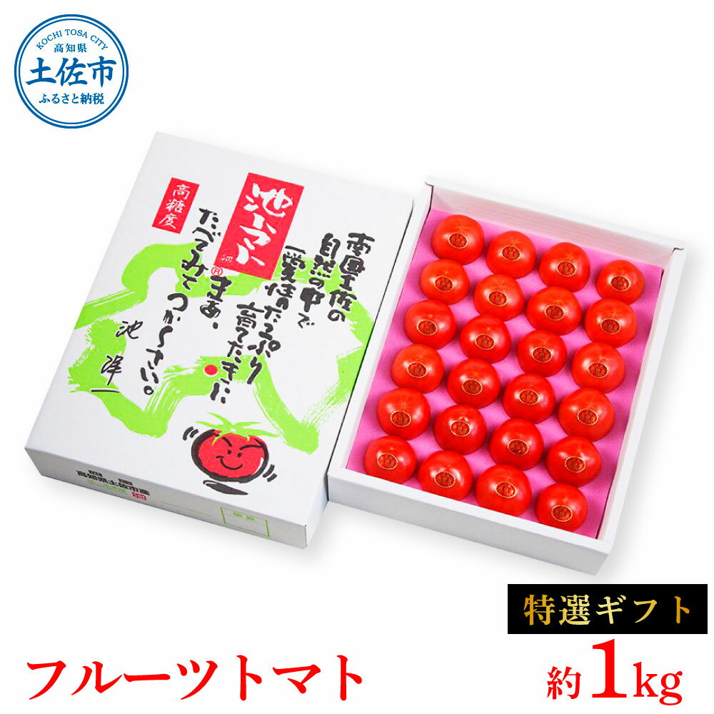 【ふるさと納税】フルーツトマト特選ギフト約1kg トマト フルーツトマト 池トマト 糖度10度以上 高糖...