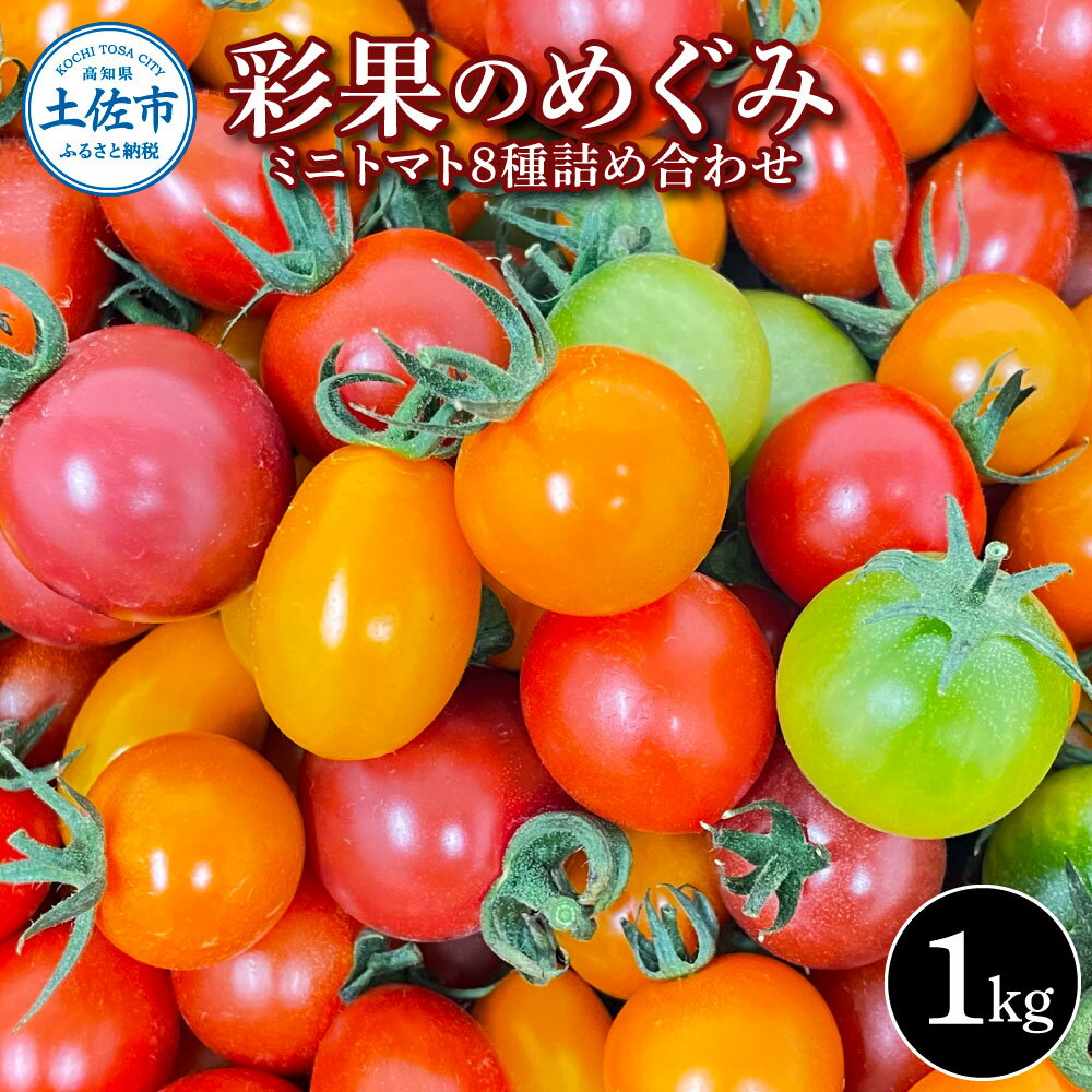 【ふるさと納税】 彩果のめぐみ 1kg ミニトマト とまと 詰め合わせ 新鮮野菜 トマト 美味しい 野菜 厳選 新鮮 夏野菜 サラダ tomato ギフト 贈答用 贈り物 プレゼント 数量限定 期間限定 フラガール ラブリーさくら 高知県 土佐市 ふるさとのうぜい 故郷納税 返礼品