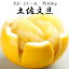 【ふるさと納税】土佐文旦(ぶんたん) (大玉:2L〜4L)たっぷり10Kg