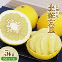 【ふるさと納税】土佐文旦(ぶんたん) (小玉サイズ:M~L混合) 約5kg【株式会社とさもん(土佐市)厳選】文旦 約5キロ 約12~16玉 ぶんたん ブンタン 柑橘 果物 フルーツ お取り寄せ おいしい 故郷納税 ふるさとのうぜい 返礼品 高知県産 高知 8500円