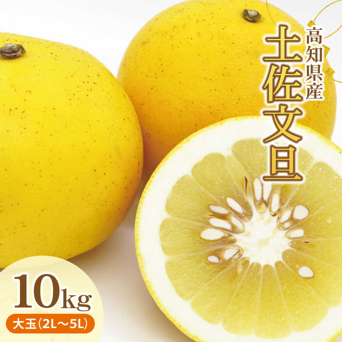 【先行予約】土佐文旦（ぶんたん）（大玉：2L〜5L混合）約10kg 約14〜21玉 土佐文旦 高知 柑橘 フルーツ ぶんたん 果物 甘い 旬 産直 お取り寄せ 季節限定 特大 10キロ 高知県土佐市/株式会社とさもん[BQAE030]