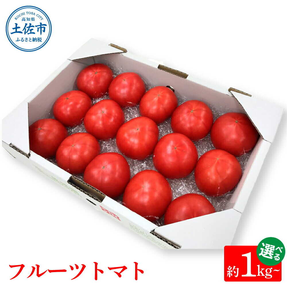 [先行予約]旬の濃旨フルーツトマト 約2kg [2027年1月〜発送] / 糖度8〜10度 大小混合 詰め合わせ フルーツトマト ふるーつとまと とまと トマト 甘い 濃厚 美味しい 箱詰め[池トマト][BQAG023][BQAG023]