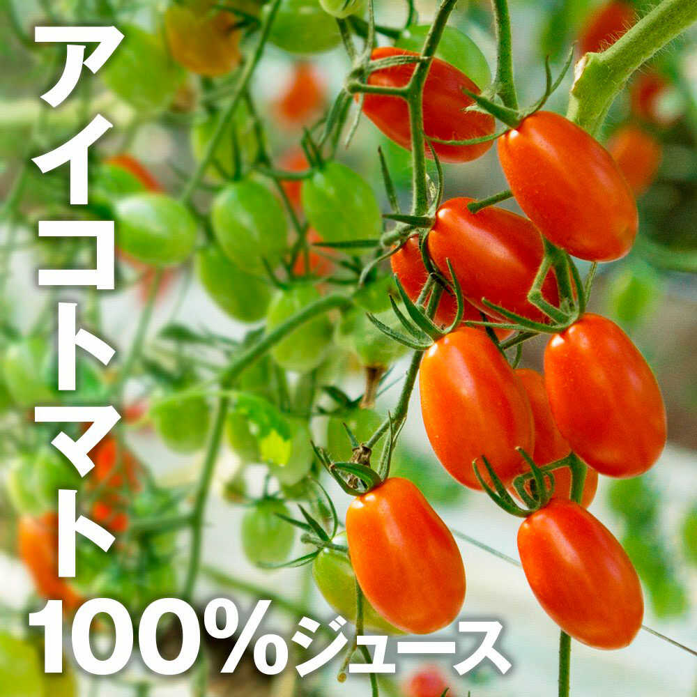 【ふるさと納税】トマトジュース あまいこ 1本入 1000ml×1本 トマト ジュース 高知 国産 甘い 新鮮 フルーツトマト 産直 サラダ 野菜 お取り寄せ リコピン ギフト 人気 おすすめ 池トマト とまとじゅーす ビタミン 健康 送料無料 高知県土佐市 [BQAG030] f392057-tosa-10000508 高知県土佐市 サンプル画像2