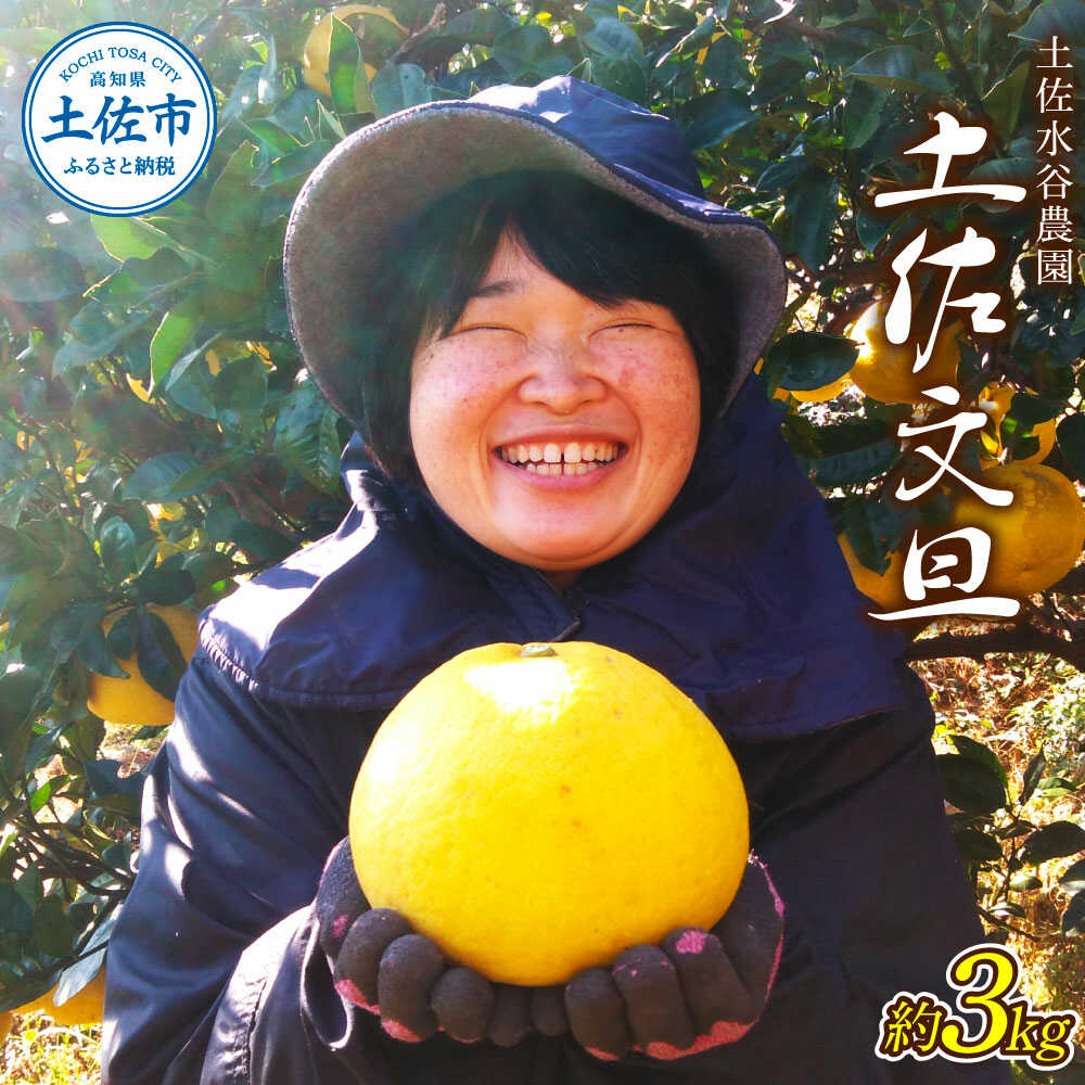 本場、高知県土佐市産！土佐水谷農園の露地土佐文旦 約3kg（3L〜5L ） 土佐文旦 高知 柑橘 フルーツ ぶんたん 果物 甘い 旬 産直 お取り寄せ 季節限定 食べやすい コンパクト 特大 高知県土佐市/土佐水谷農園[BQBD006]