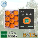 【ふるさと納税】秋の味覚!土佐の袋掛け次郎柿【8~13玉】【家庭用】 ※10月より順次発送 かき カキ 甘い 美味しい おいしい 果物 フルーツ 常温 ご自宅用 故郷納税 ふるさとのうぜい 返礼品 高知県 高知 12000円