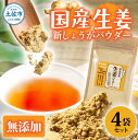 【ふるさと納税】新しょうが お手軽ヘルシー高知県産しょうがパウダー 30g×4袋セット 生姜パウダー 国産 しょうが ショウガ ジンジャー 新ショウガ 粉末しょうが 野菜パウダー 料理 お菓子づくり 健康 ふるさとのうぜい 故郷納税 高知県 7000円 返礼品