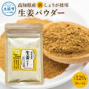 【ふるさと納税】新しょうが お手軽ヘルシー高知県産しょうがパウダー 30g×4袋セット 生姜パウダー 国産 しょうが ショウガ ジンジャー 新ショウガ 粉末しょうが 野菜パウダー 料理 お菓子づくり 健康 ふるさとのうぜい 故郷納税 高知県 5000円 返礼品