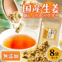 【ふるさと納税】新しょうが お手軽ヘルシー高知県産しょうがパウダー 30g×8袋セット 生姜パウダー 国産 しょうが ショウガ ジンジャー 新ショウガ 粉末しょうが 野菜パウダー 料理 お菓子づくり 健康 ふるさとのうぜい 故郷納税 高知県 12000円 返礼品