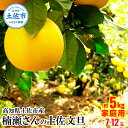 【先行予約】【ふるさと納税】高知県土佐市産 楠瀬さんの土佐文旦 家庭用 約5kg 期間限定 高知 土佐 文旦 ぶんたん ブンタン 柑橘 みかん 果物 5キロ L...