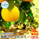 【ふるさと納税】高知県土佐市産 楠瀬さんの土佐文旦 贈答用中玉 約10kg 期間限定 高知 土佐 文旦 ぶんたん ブンタン 柑橘 みかん 果物 10キロ L〜2...