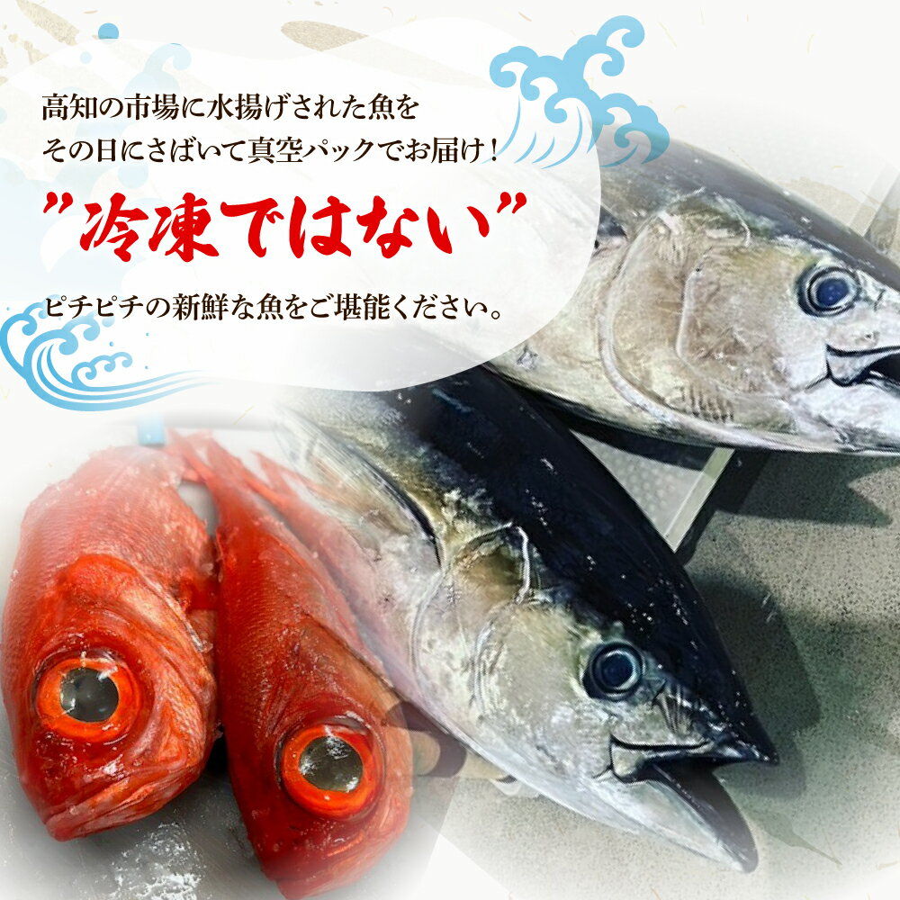 【ふるさと納税】＜3回定期便＞違いの分かる鮮魚店店長が送る 高知のお魚定期便！！ 海鮮 魚 さかな 新鮮 カツオのタタキ 金目鯛 真鯛 ネギトロ 天然アユ など 旬 季節 定期便 お楽しみ 定期コース 3ヶ月 年3回 冷蔵 高知県 高知 故郷納税 ふるさとのうぜい 土佐市 43000円