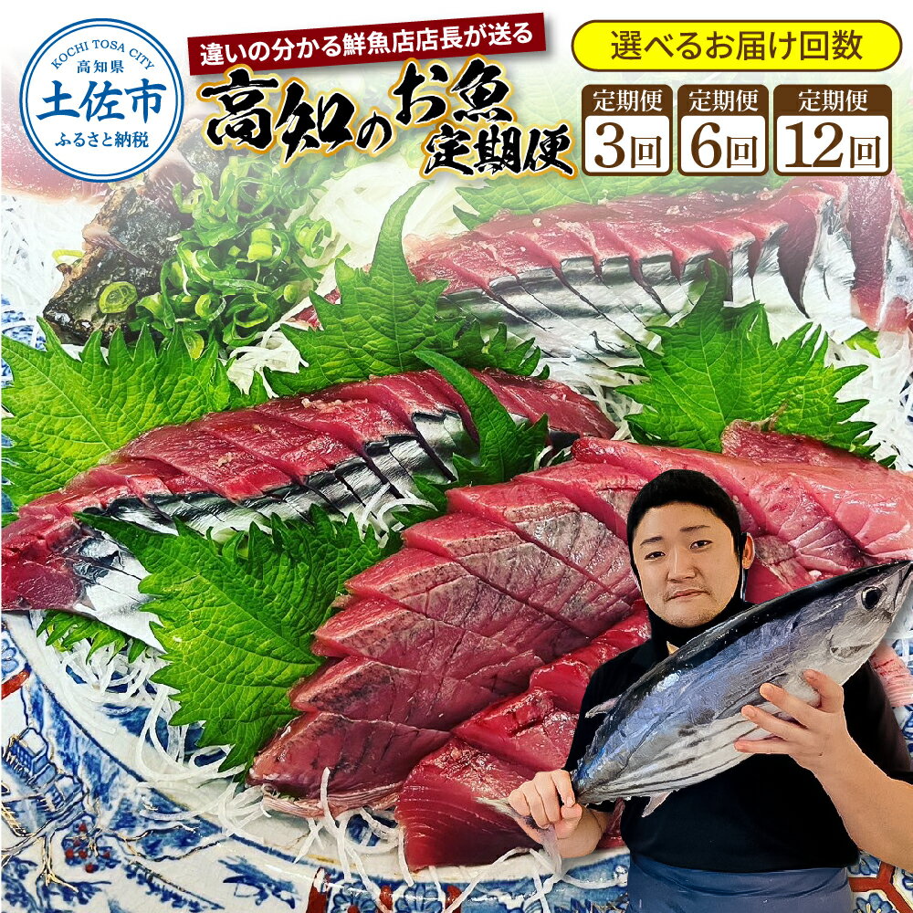 選べるお届け回数 違いの分かる鮮魚店店長が送る 高知のお魚定期便！！ 海鮮 魚 さかな 新鮮 カツオのタタキ 金目鯛 真鯛 ネギトロ 天然アユ など 旬 季節 春 定期便 お楽しみ 定期コース 3回 6回 12回 冷蔵配送 高知 故郷納税 ふるさとのうぜい 43000円～