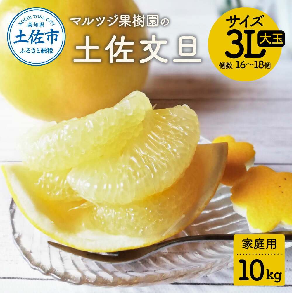 【ふるさと納税】【先行予約受付】文旦 約10kg 土佐文旦 ぶんたん ブンタン 期間限定 数量限定 