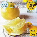 【ふるさと納税】文旦 贈答用(中玉) 約5kg 5キロ 2Lサイズ 10~11個入り ぶんたん ブンタン フルーツ 柑橘 みかん 果物 くだもの 柑橘類 デザート お取り寄せ 国産 常温 配送 故郷納税 ふるさとのうぜい 返礼品 高知県 土佐市 マルツジ果樹園の土佐文旦 15000円