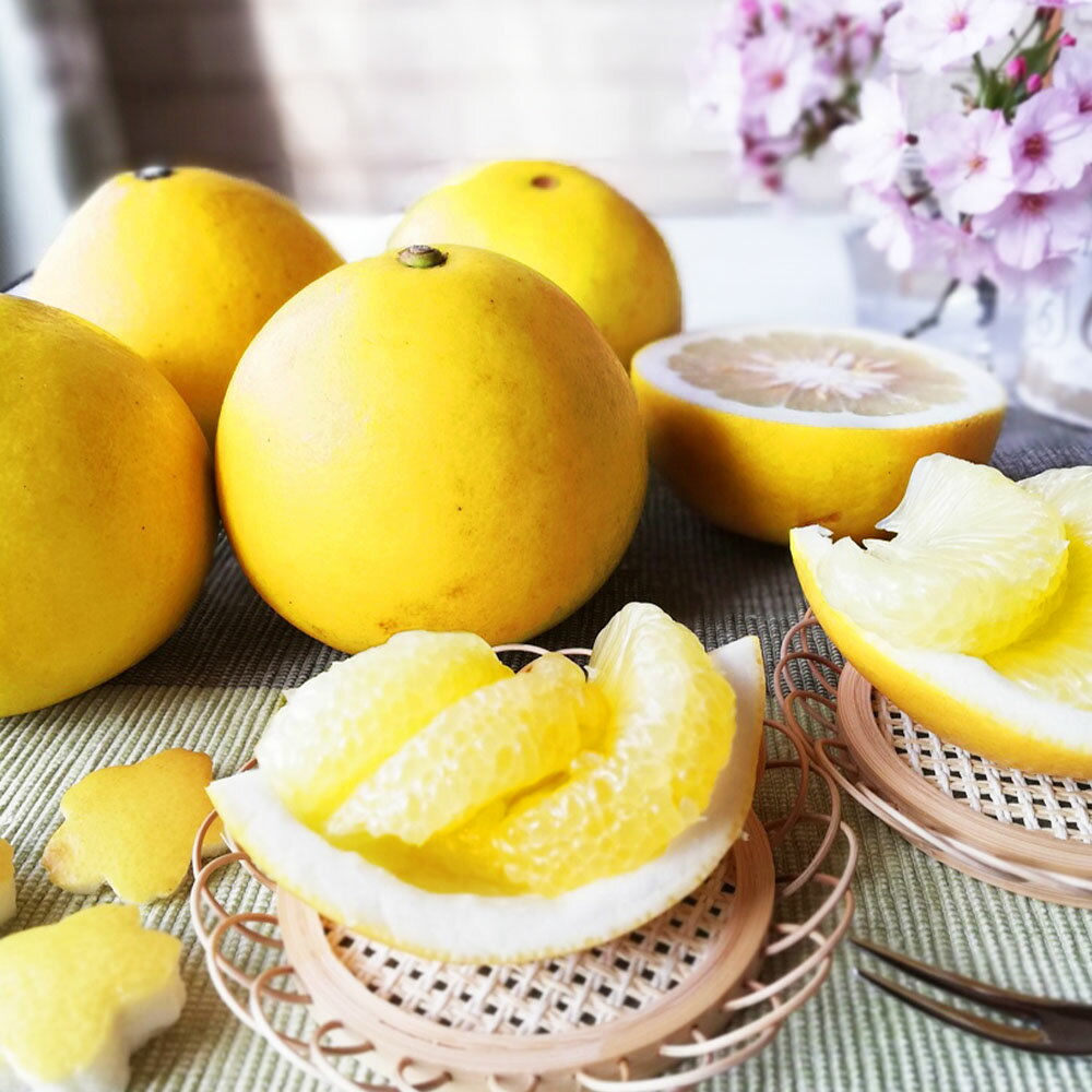 �ڤդ뤵��Ǽ�ǡ�ʸö ������(���) ��1.8kg 1.8���� 3L������ 3������֤󤿤� �֥󥿥� �ե롼�� ���� �ߤ��� ��ʪ ������� ������ �ǥ����� �������� �������� ������ �� �ﲹ ���� �դ뤵�ȤΤ����� ������ ���θ� �ں��� �ޥ�ĥ��̼�����ں�ʸö