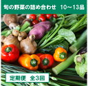 【ふるさと納税】『定期便』土佐野菜の詰め合わせ 全3回 旬の