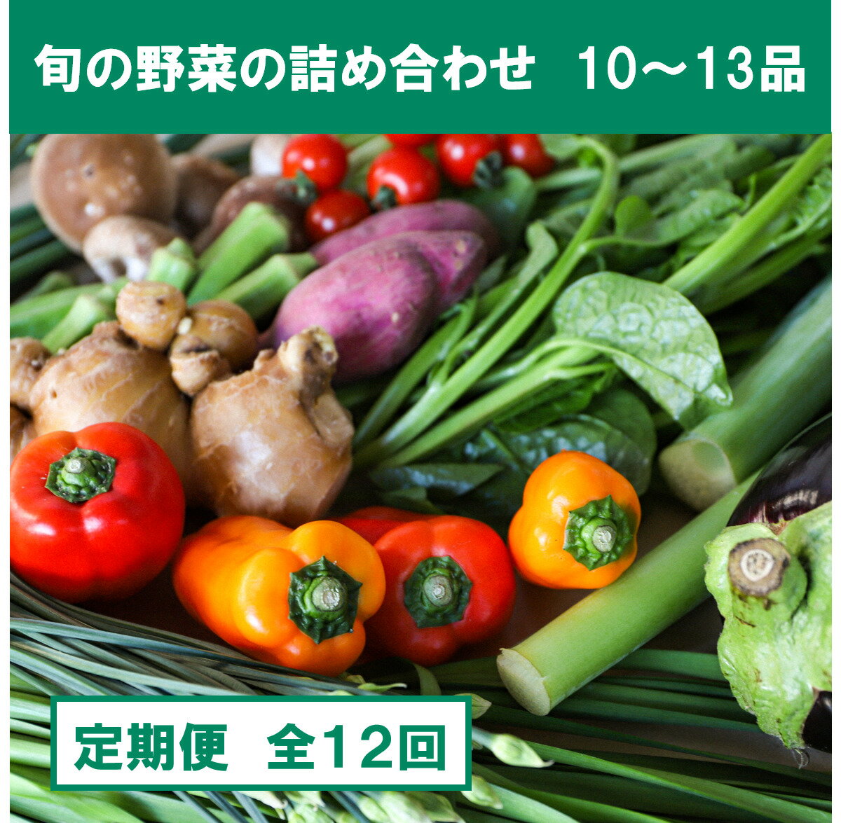 『定期便』土佐野菜の詰め合わせ 全12回 旬の野菜 生姜 野菜 健康 詰め合わせ セット 採れたて おいしい 美味しい 自然 新鮮 旬 春 野菜 おまかせ お楽しみ 故郷納税 ふるさとのうぜい 返礼品 高知県 高知 120000円